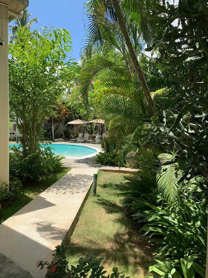 Beach Hotel Casa Nina ลาสแตร์เรนาส ภายนอก รูปภาพ