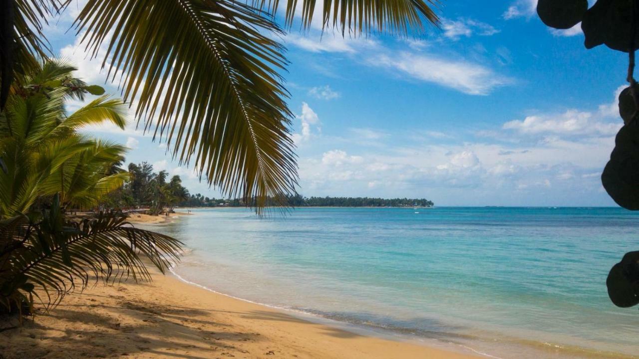 Beach Hotel Casa Nina ลาสแตร์เรนาส ภายนอก รูปภาพ