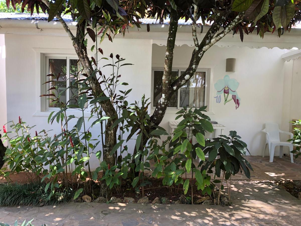 Beach Hotel Casa Nina ลาสแตร์เรนาส ภายนอก รูปภาพ