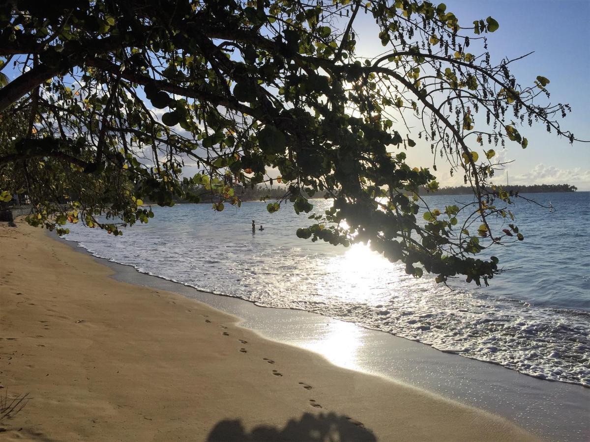 Beach Hotel Casa Nina ลาสแตร์เรนาส ภายนอก รูปภาพ